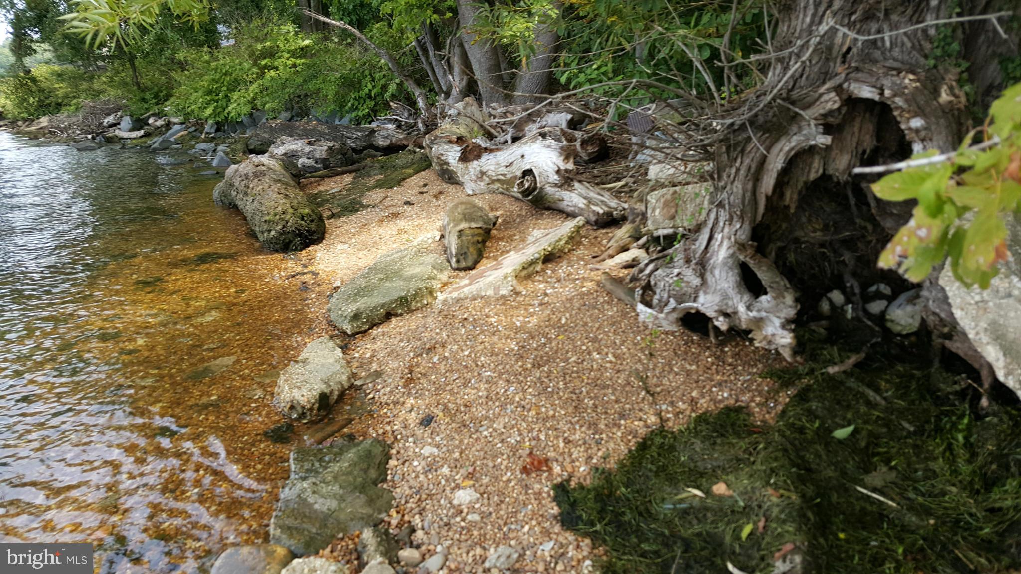 TREASURE COVE - Land