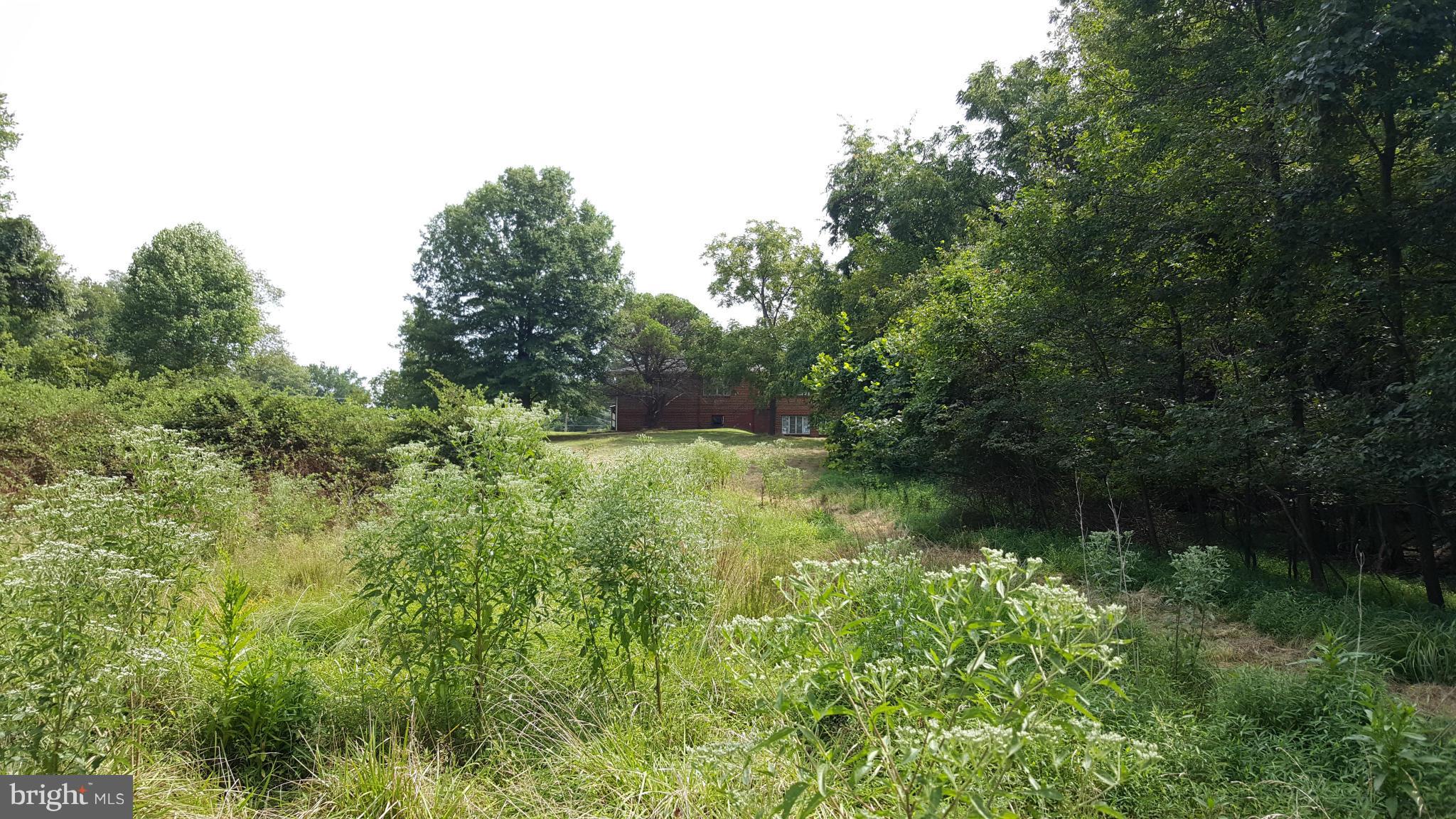 TREASURE COVE - Land