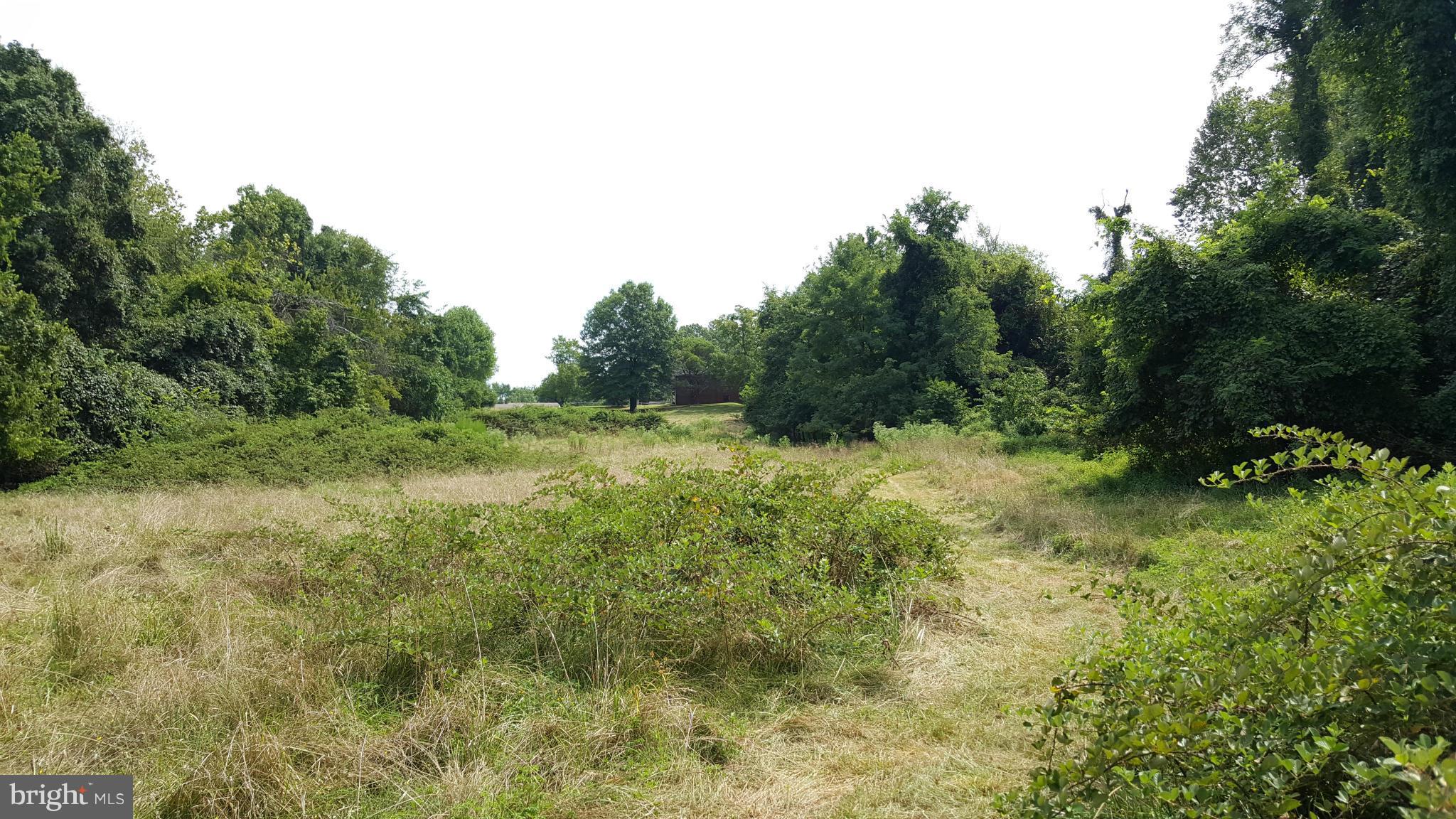 TREASURE COVE - Land