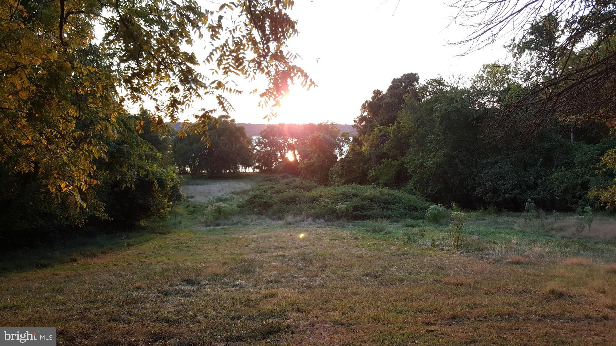 TREASURE COVE - Land