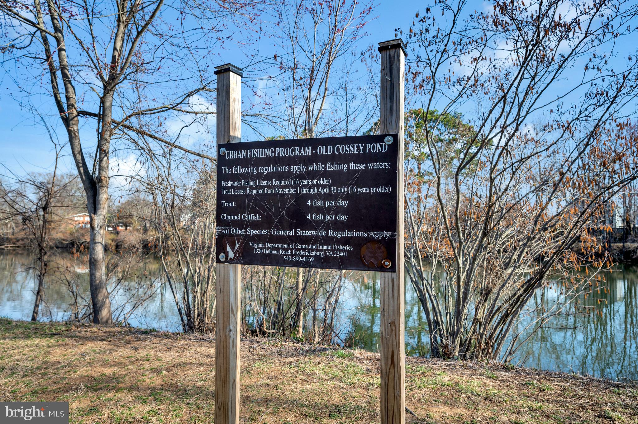 DOWNTOWN FREDERICKSBURG - Residential