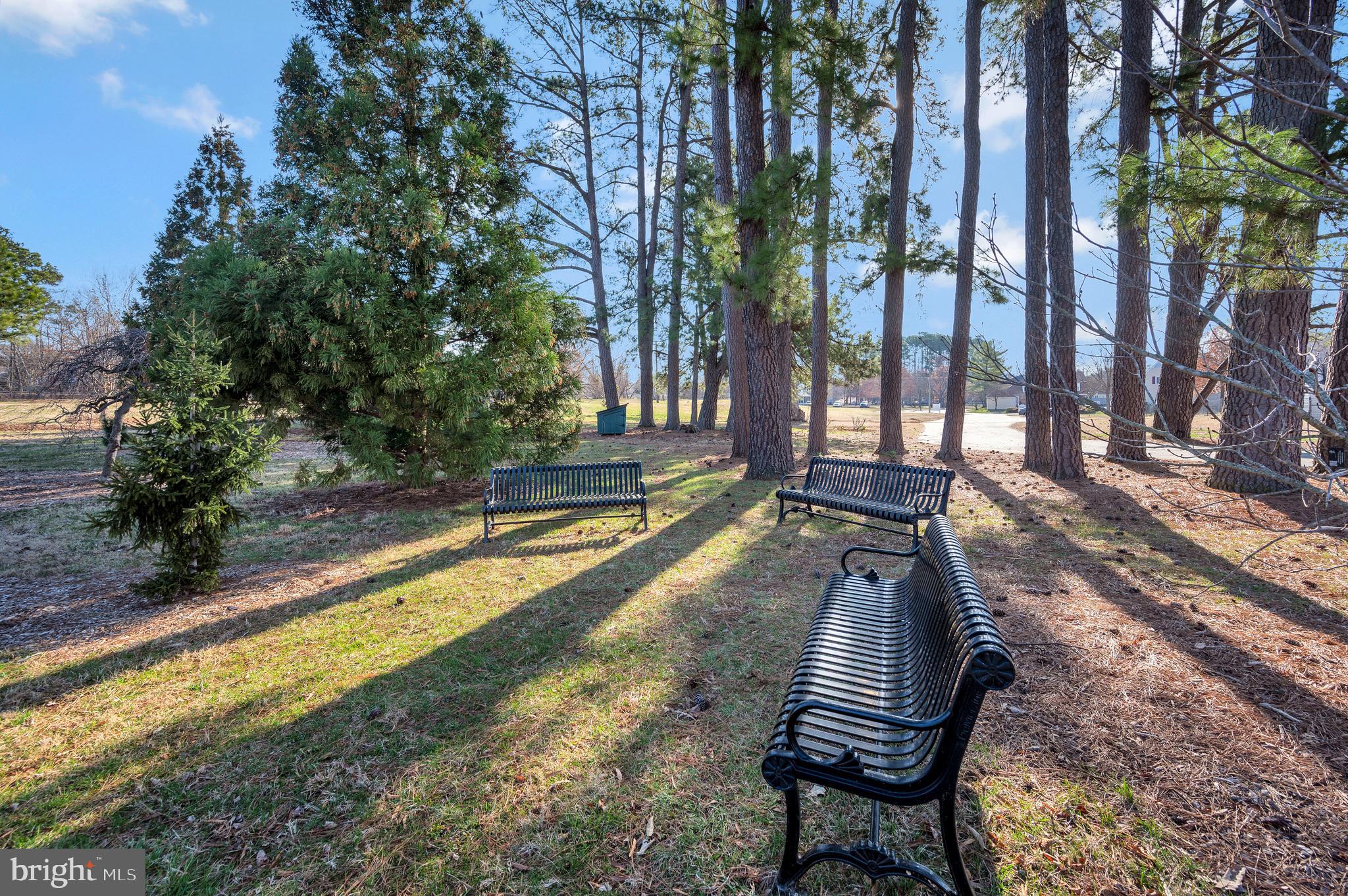 DOWNTOWN FREDERICKSBURG - Residential