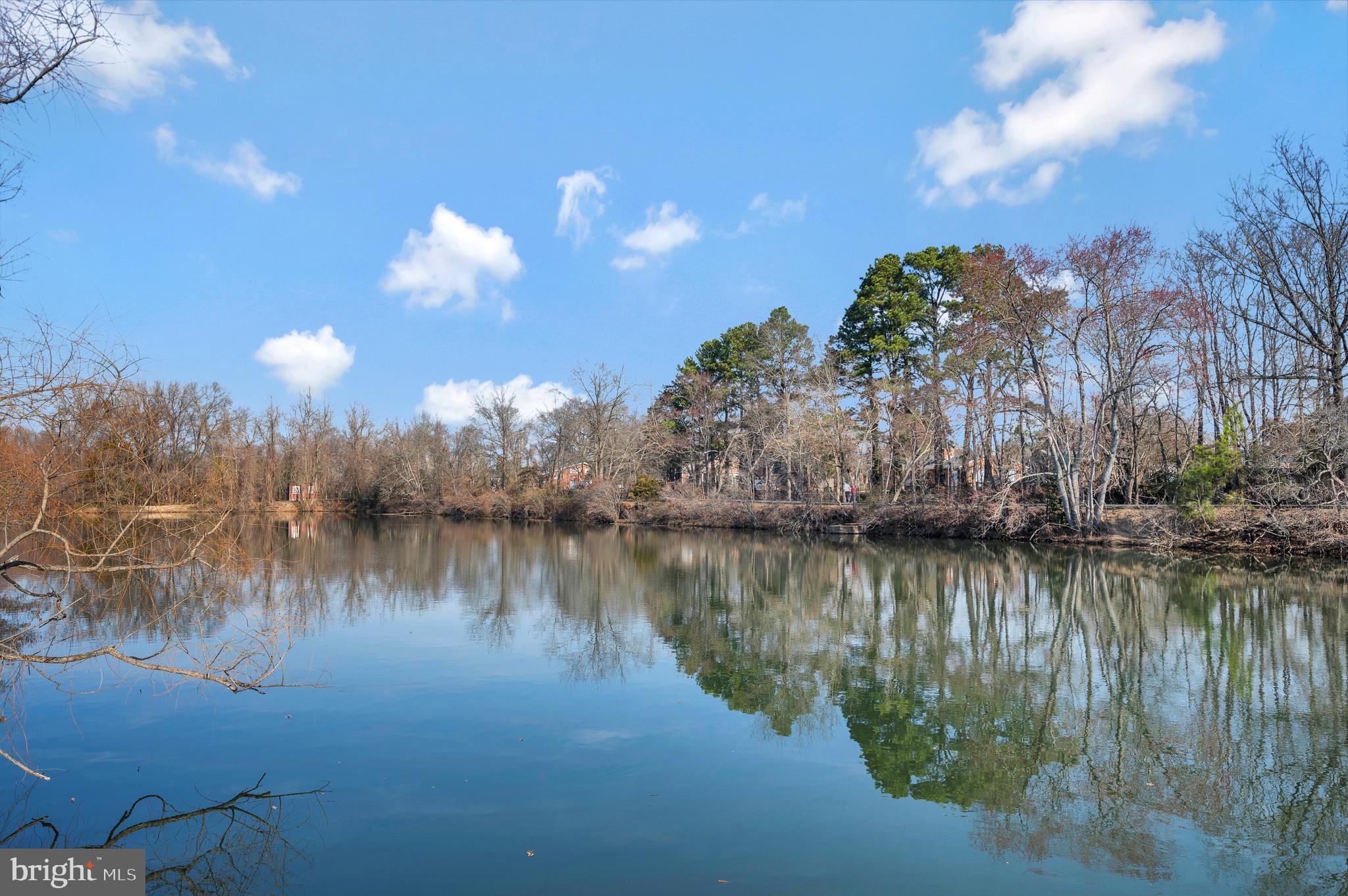 DOWNTOWN FREDERICKSBURG - Residential