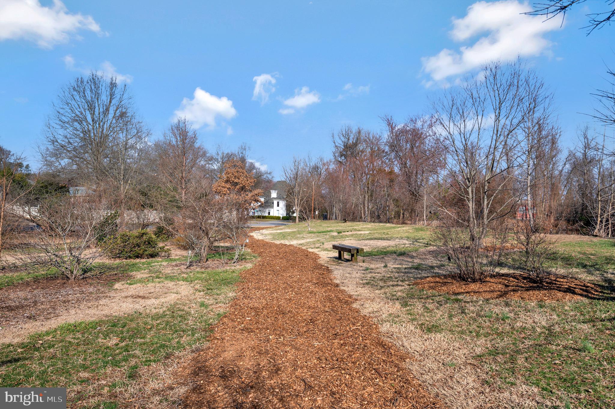 DOWNTOWN FREDERICKSBURG - Residential