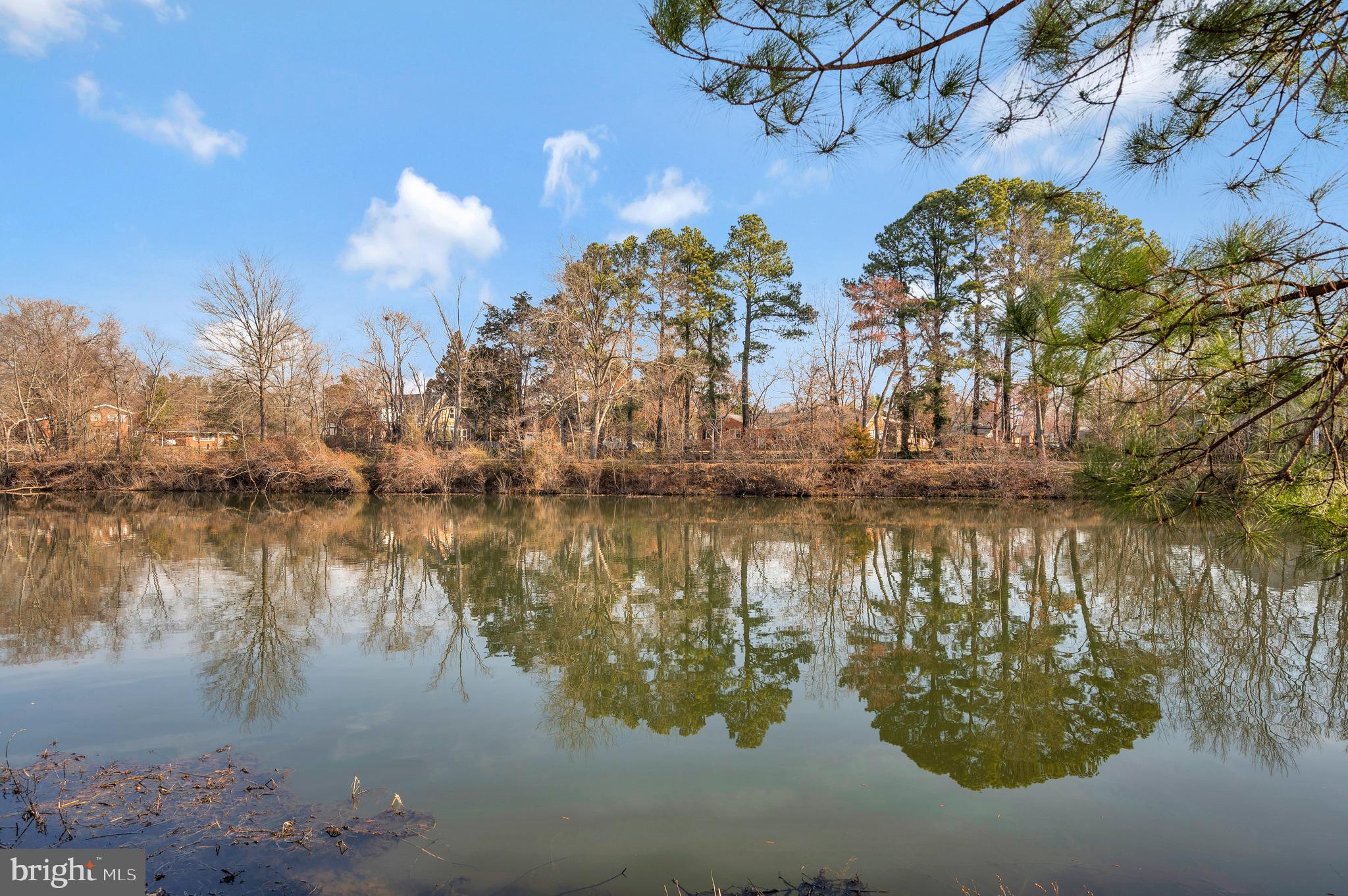 DOWNTOWN FREDERICKSBURG - Residential