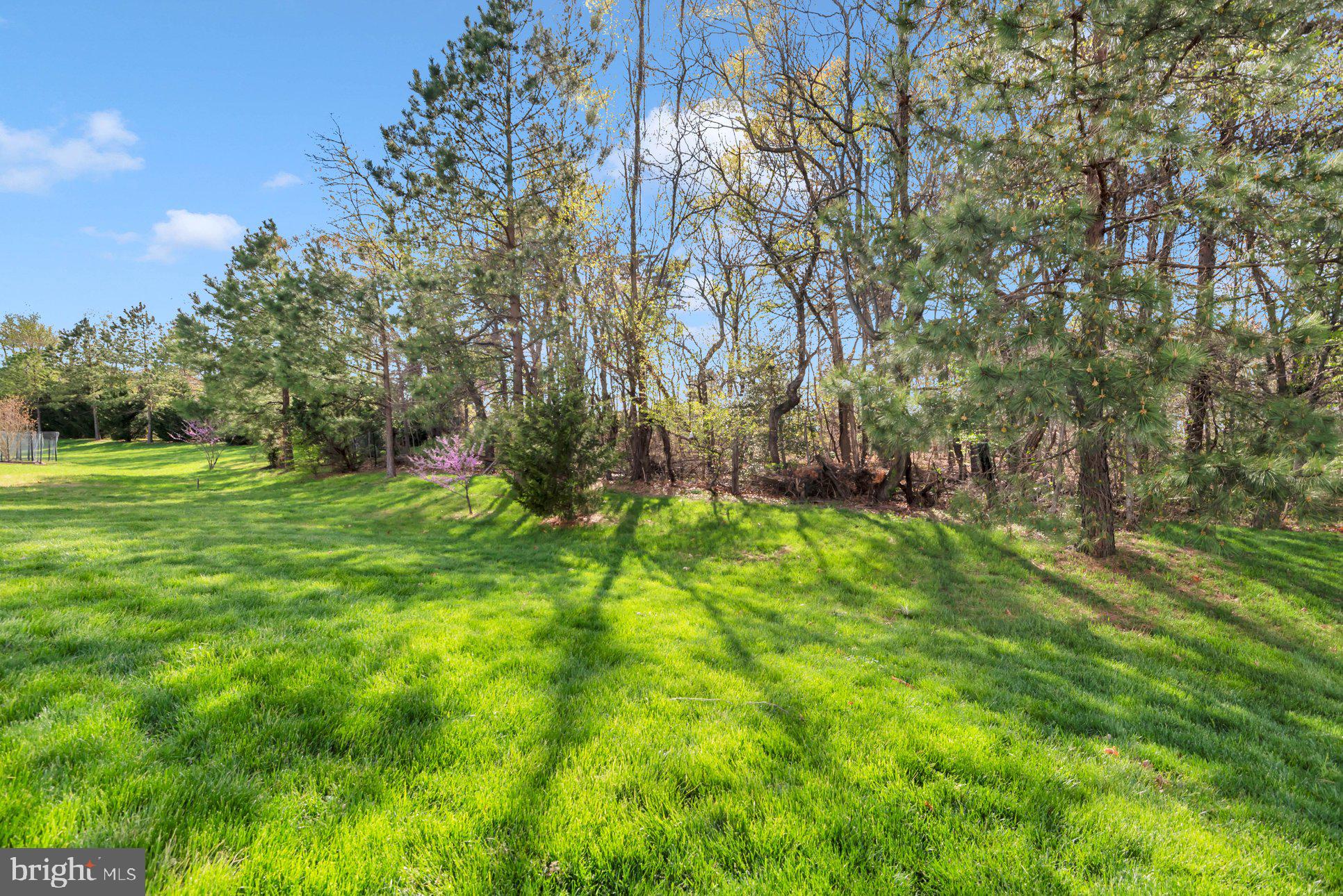 SEVERN CREST - Residential