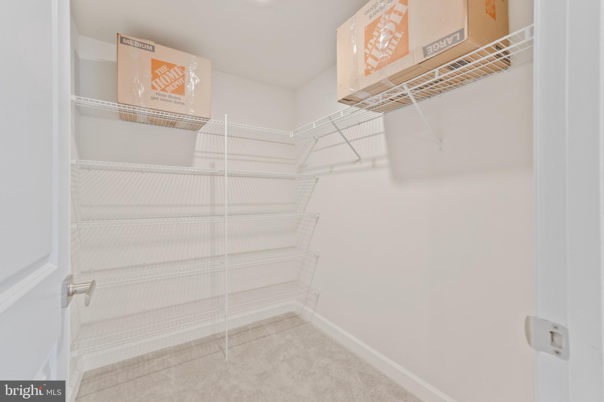 WILLOWSFORD - THE GREENS - Residential