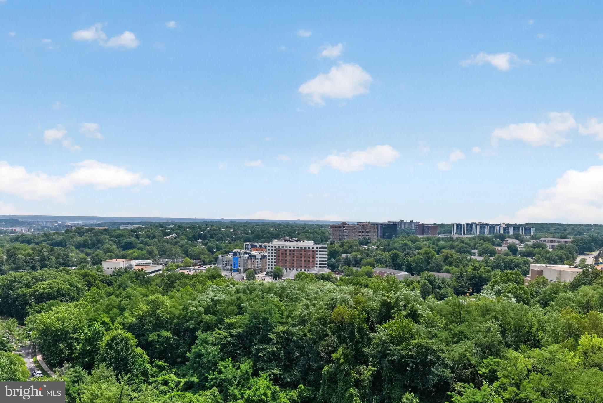 3705 S GEORGE MASON DRIVE 1407-S