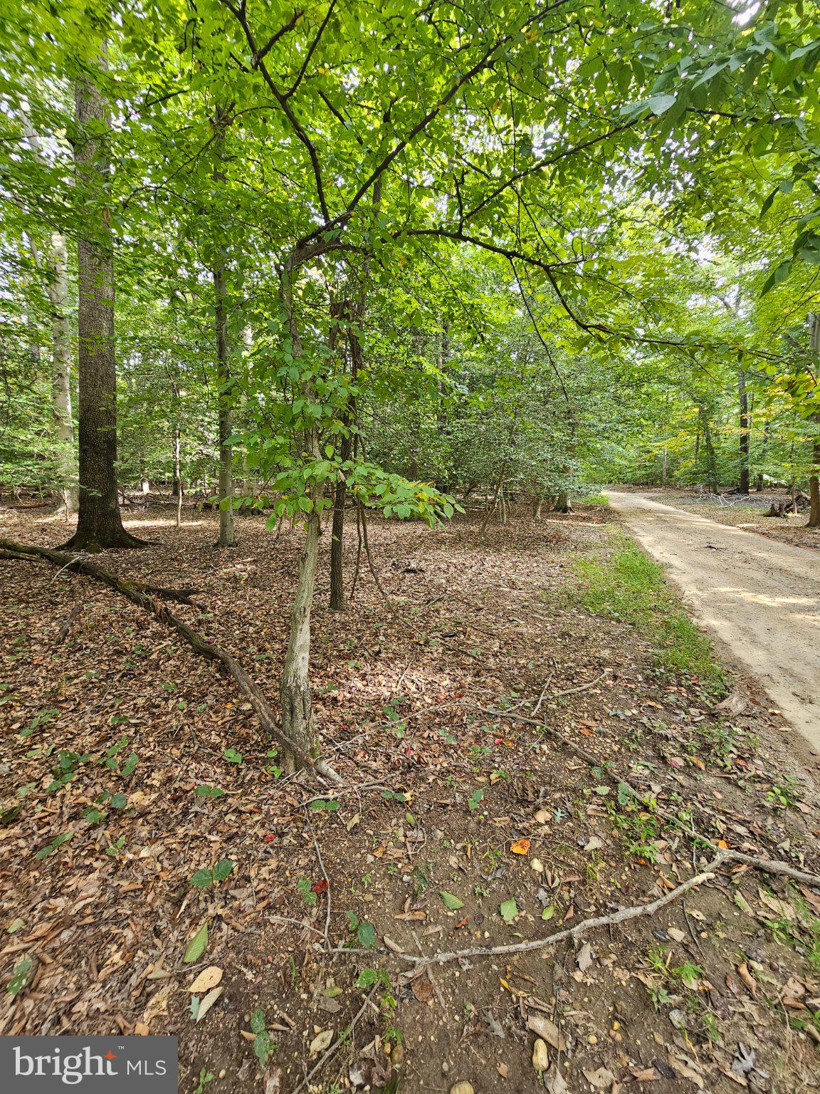 SANFORD DRIVE