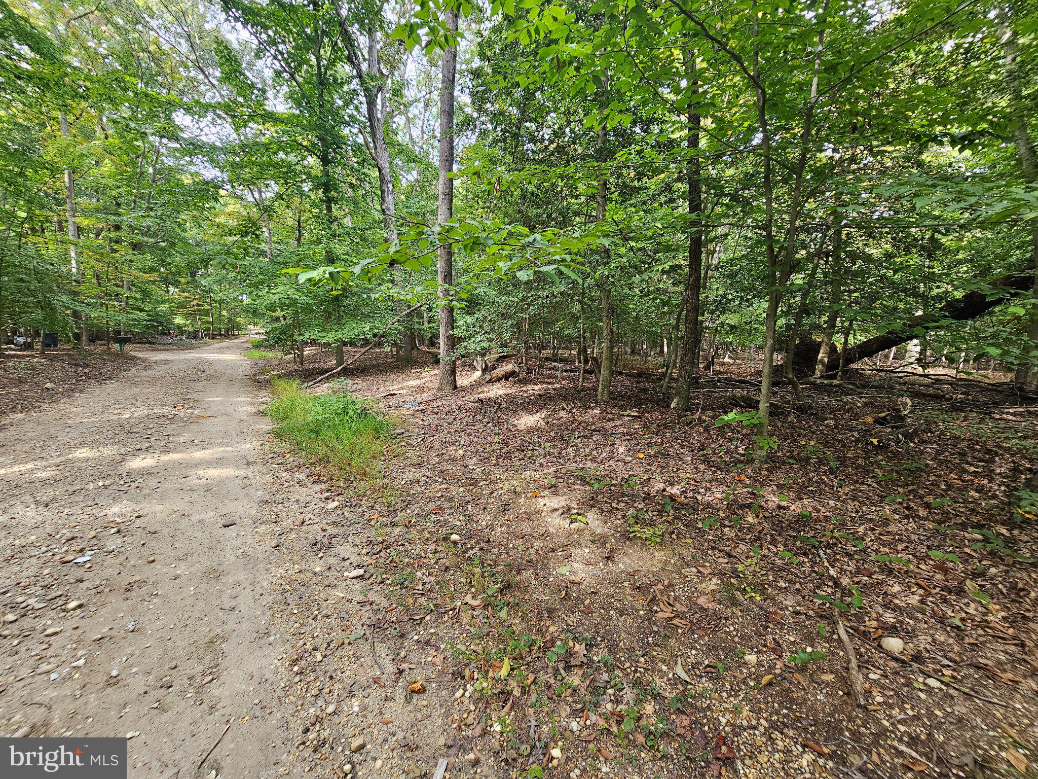 SANFORD DRIVE