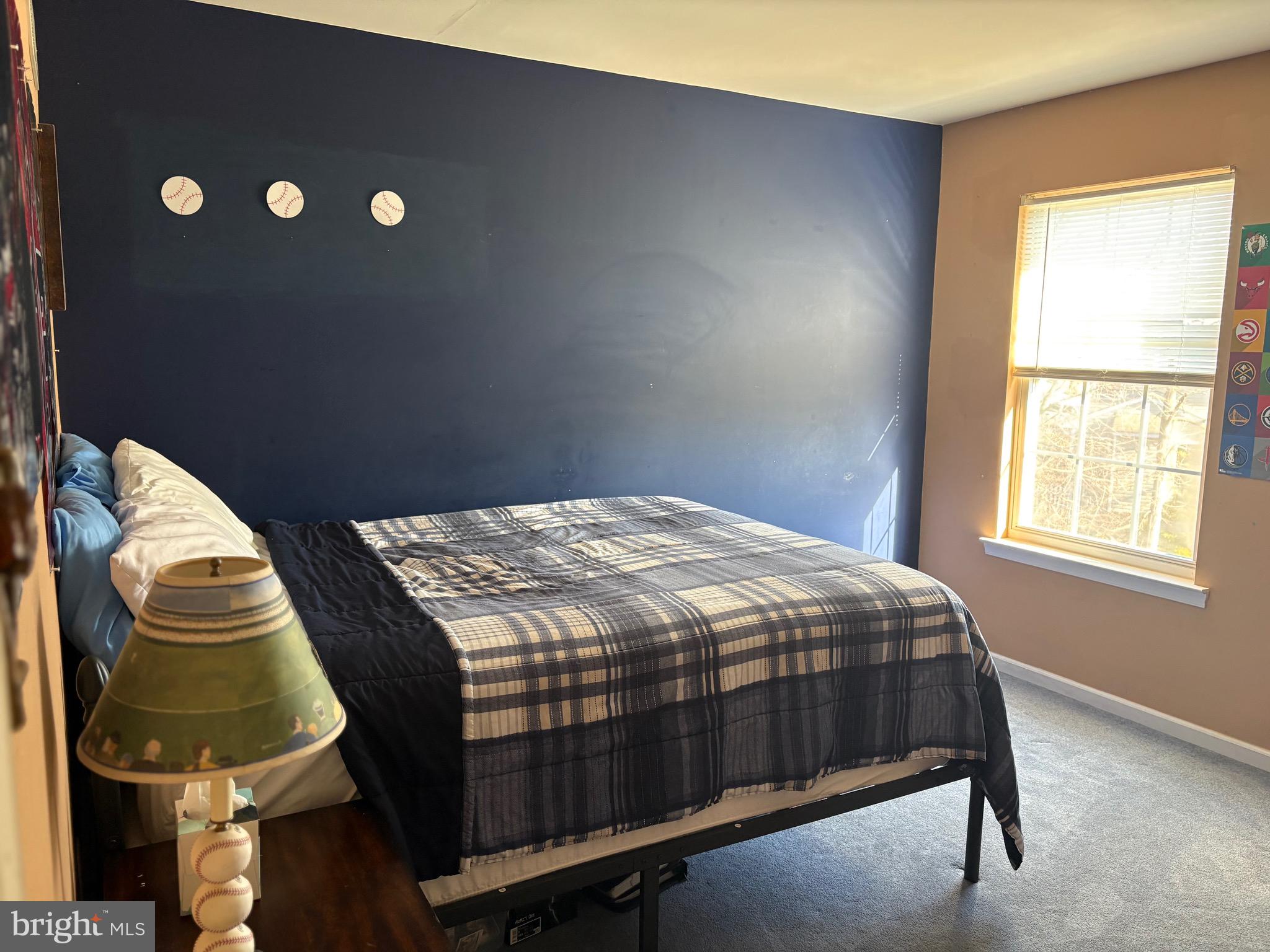 MONTGOMERY MEADOWS - Residential