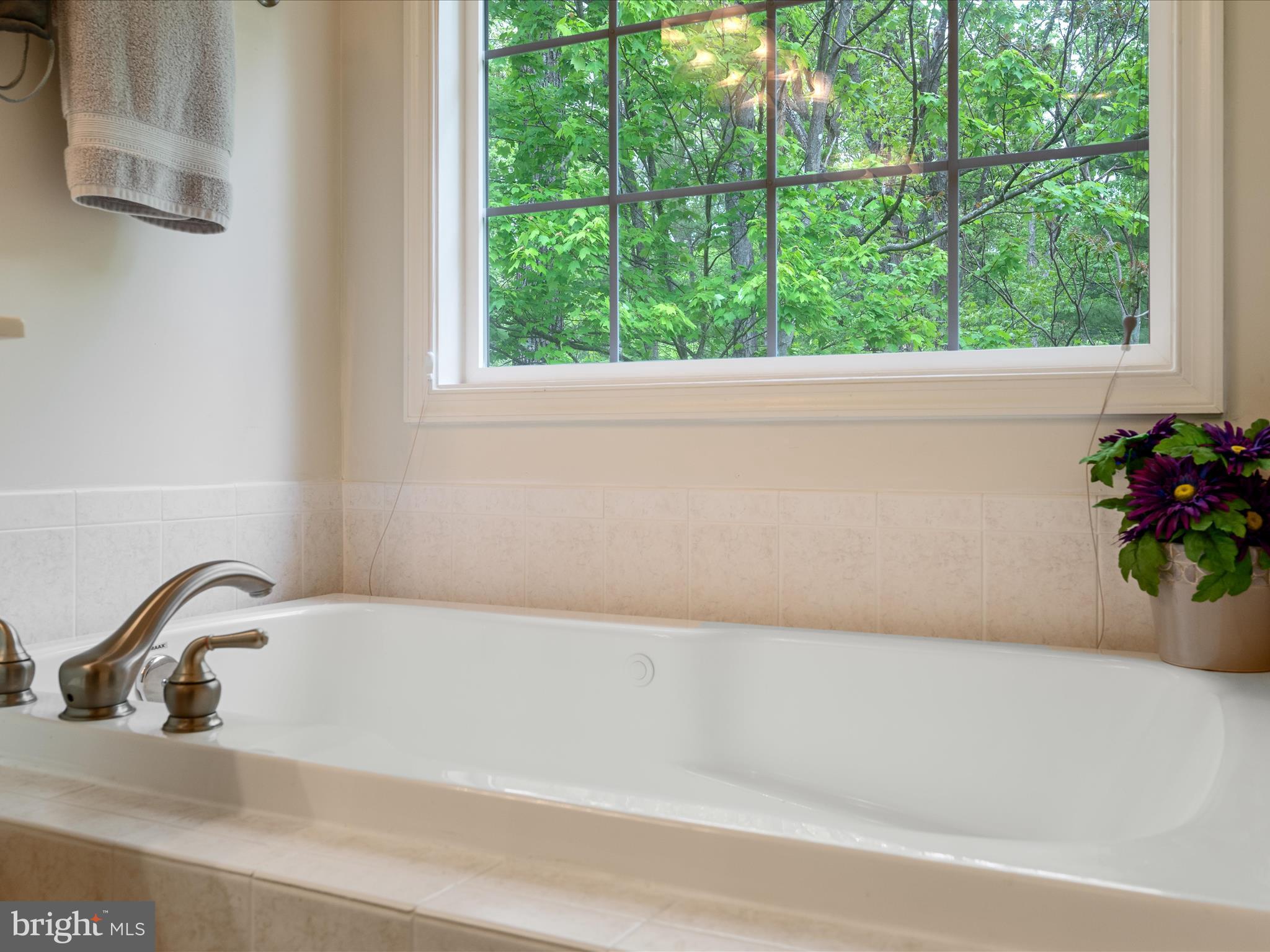 LAKE HOLIDAY ESTATES - Residential