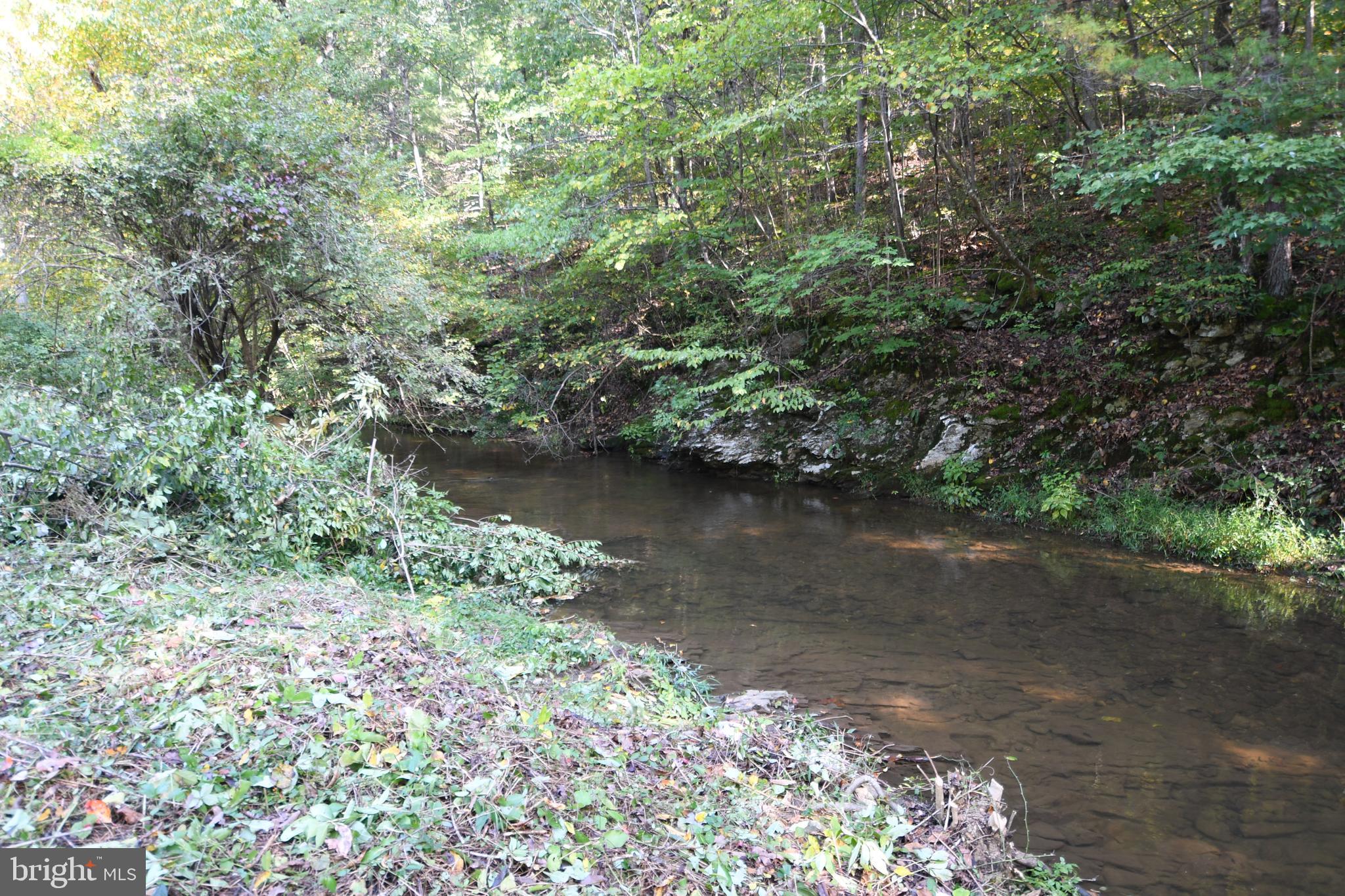 DISMAL HOLLOW ROAD