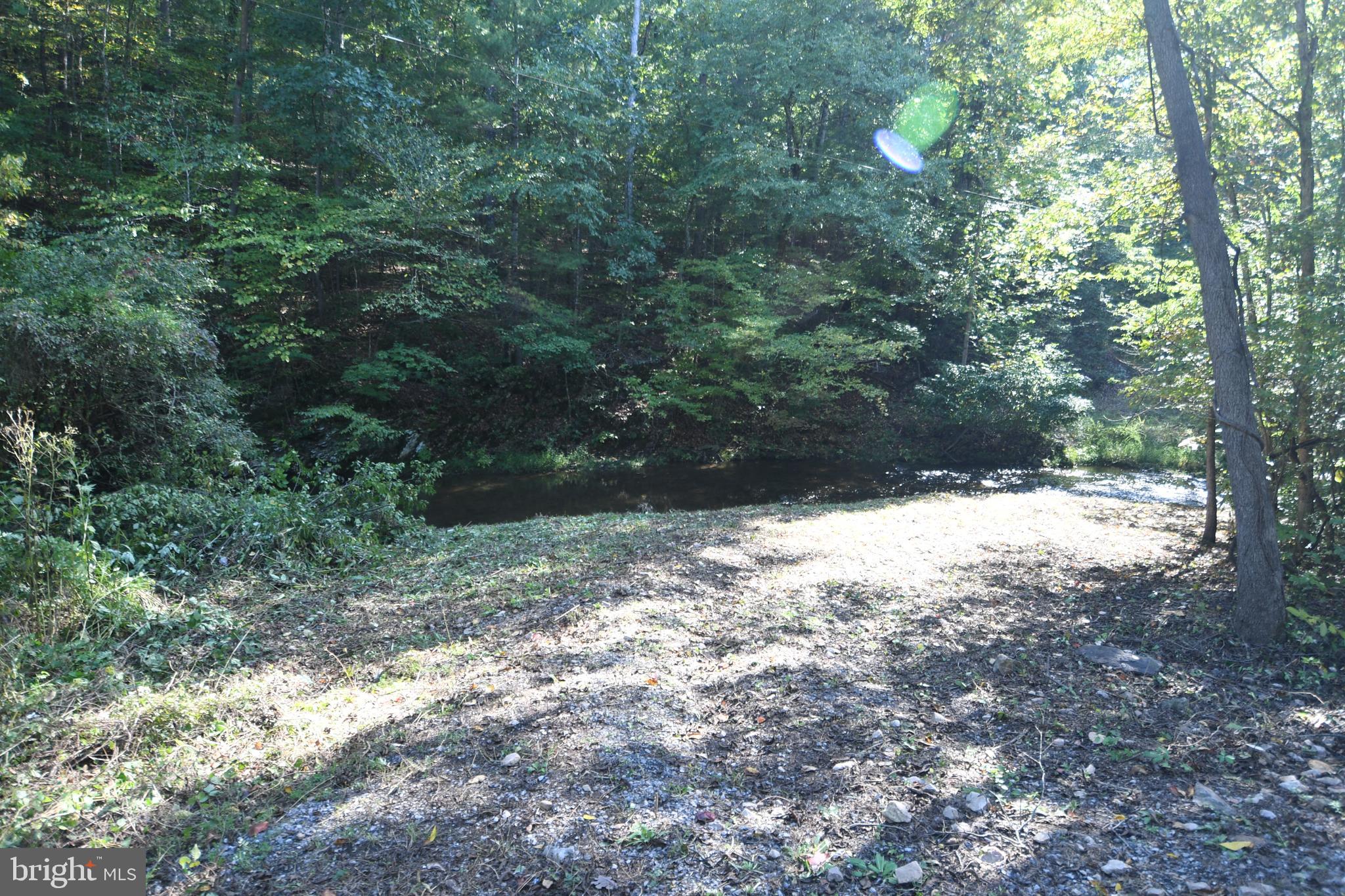 DISMAL HOLLOW ROAD