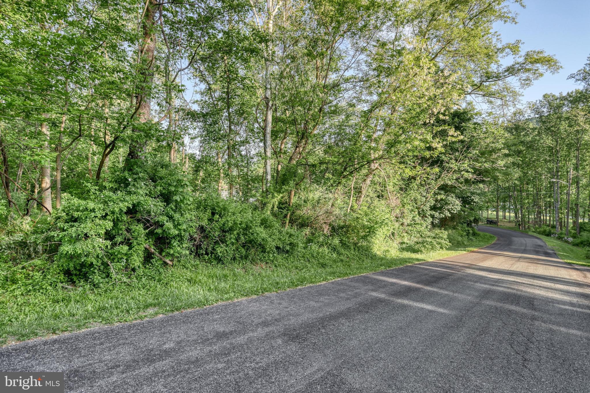 63 DIANE TRAIL