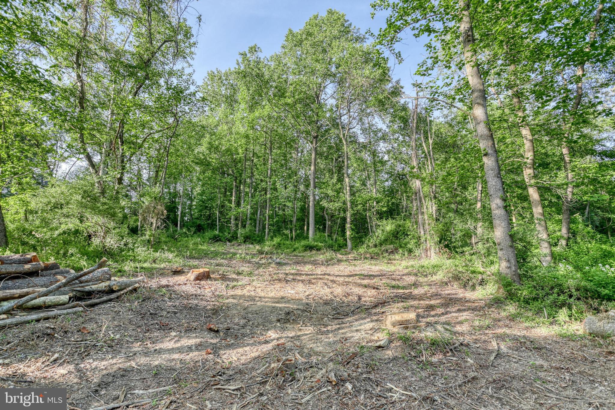 63 DIANE TRAIL