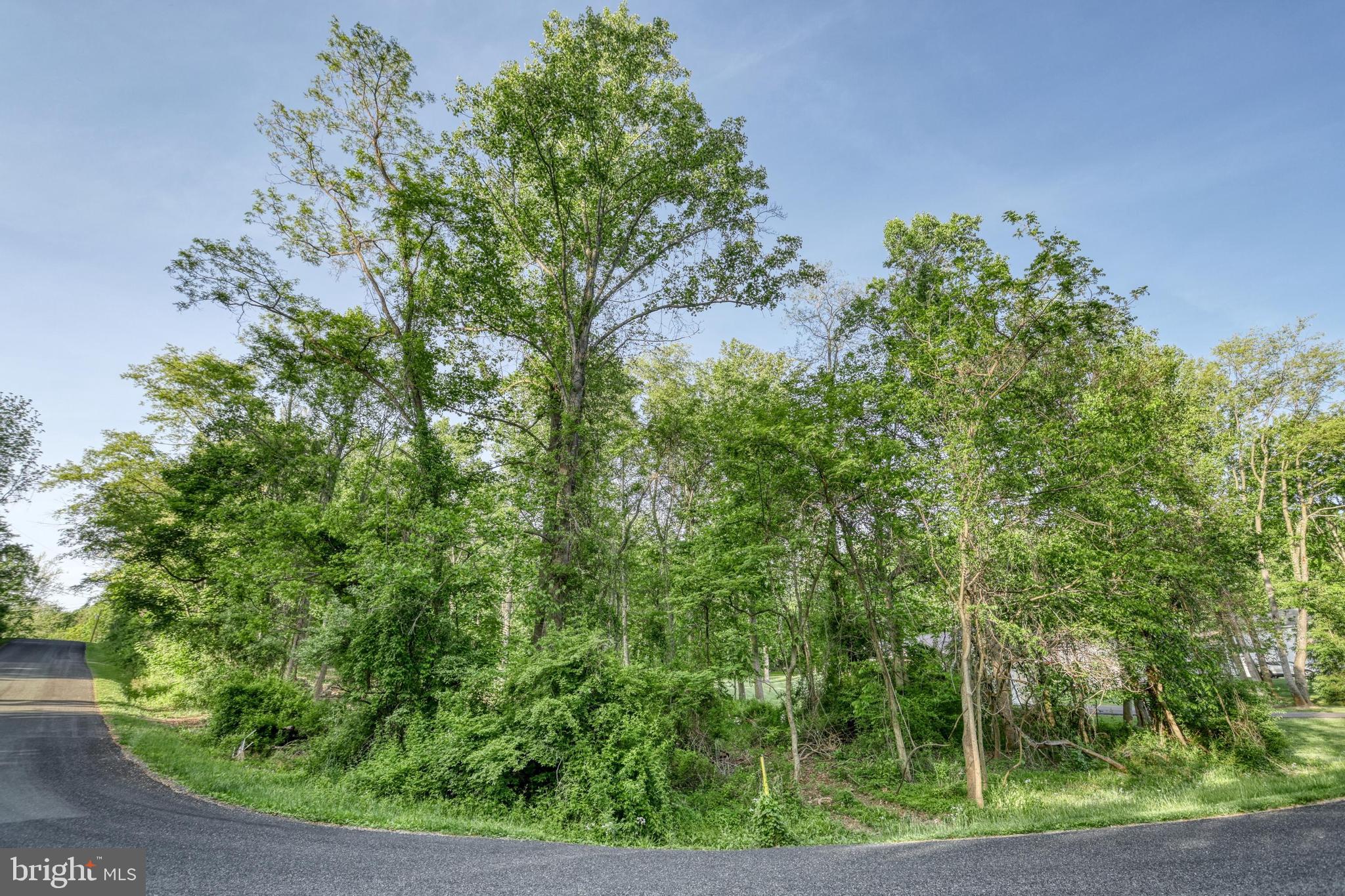 63 DIANE TRAIL