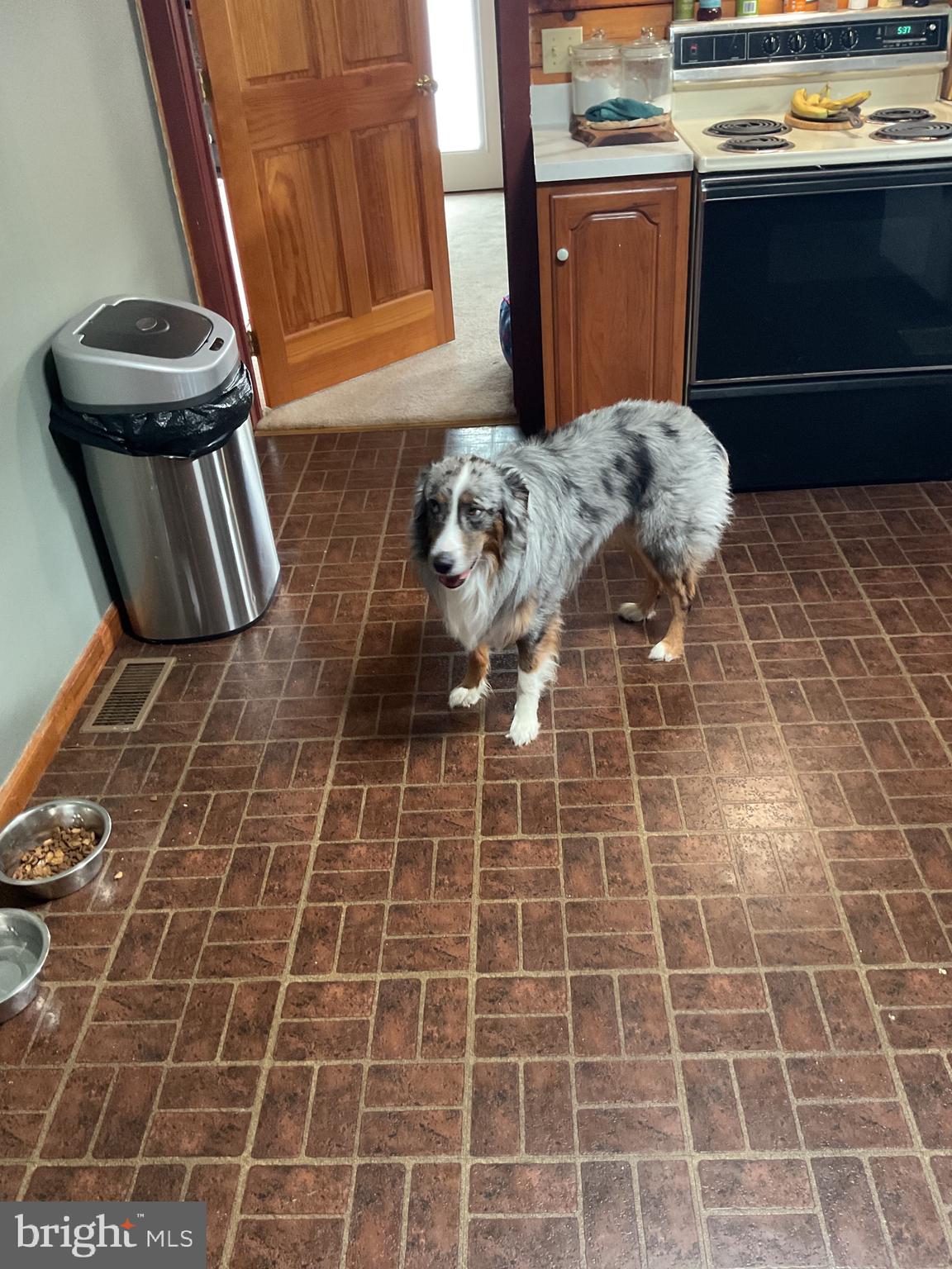 THE CROSSING AT GREAT CACAPON - Residential