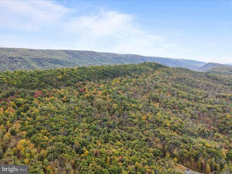 Vacant Land For Sale - 2083 Clay Pits Lane<br/> GREAT CACAPON, WV 25422