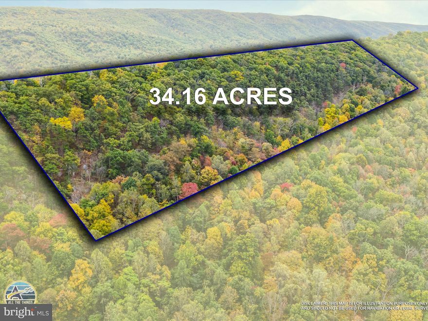 Just over 34 acres of private woods with frontage on Clay Pitts Lane. Beautiful views through the trees. Very minimal HOA restrictions make for a great location to build your dream home or vacation cabin in the woods. Build, hunt, camp. Just about 20 minutes from downtown Berkeley Springs while still having that out in the country feel thanks to the seclusion and limited neighbor traffic. Easily accessible with so much potential to make your dream come true.