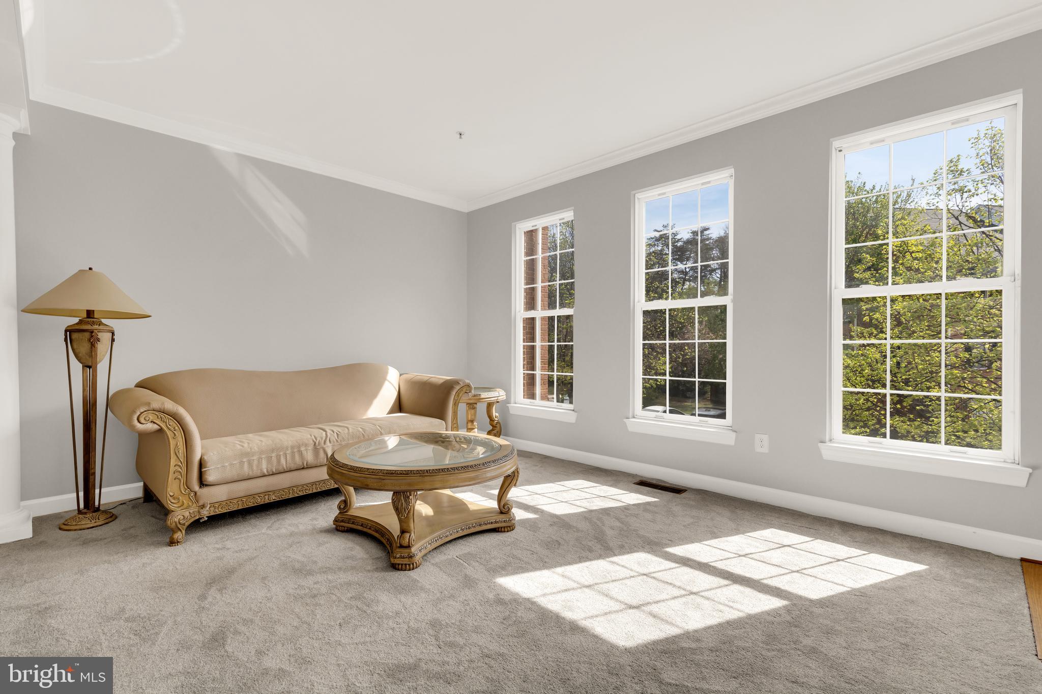 WILLOWS OF POTOMAC - Residential