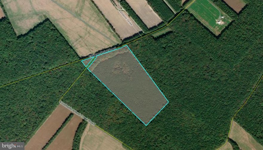 Woodland Parcel | Southside Island Creek and Chloras Pt Roads, Trappe, Maryland
Located along Southside Island Creek Road and bordered by Chlora’s Point Road, this 42± acre tract offers a private expanse of woodland surrounded by farmland and forest. The property provides a natural retreat ideal for recreation, hunting, or simply enjoying the outdoors—all within easy reach of Route 50 and the towns of Trappe and Easton.
The parcel was timbered about 20 years ago and reforested with pine, providing excellent habitat for deer, turkey, and other wildlife. 
Set amid the rural surroundings of Talbot County’s lower countryside, the property captures the essence of the Eastern Shore’s natural beauty—expansive, peaceful, and full of potential. Whether envisioned as a hunting property, conservation area, or private escape, this tract offers the opportunity to own a sizeable stretch of woodland just minutes from town conveniences and major routes.
Offered as unimproved land. Buyers to confirm intended uses with county planning and zoning.