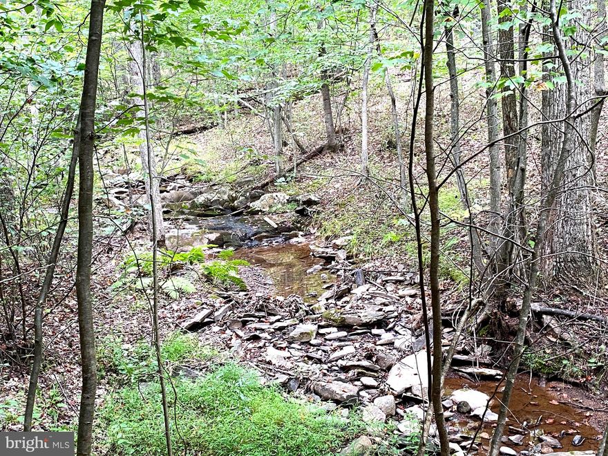 20 acres of unrestricted beauty! This majestic mountain land has trails throughout for recreation or hunting. Watch your own leaves turn color! Looking for off-grid living? Looking for a weekend retreat to escape to? This private land offers you the seclusion to create your vision and a creek that runs year round. Dirt/shale roads. No power to the property. There are adjacent lots available. Claim your 20, 40 or 60+ acres of wild, wonderful West Virginia! Just 10 miles to Inwood, exit 5 on I81.