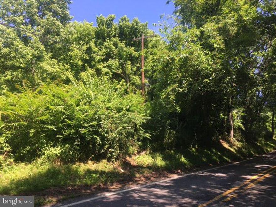 1 acre buildable lot, it used to have a home in this lot that has been removed, electric is right in the lot, new perk, well and septic needs to be applied with county, seller has no information regarding this ,  buy and built your dream home, check out all the new homes that has been built in the same street,  one of the best high school with magnet program in MC,