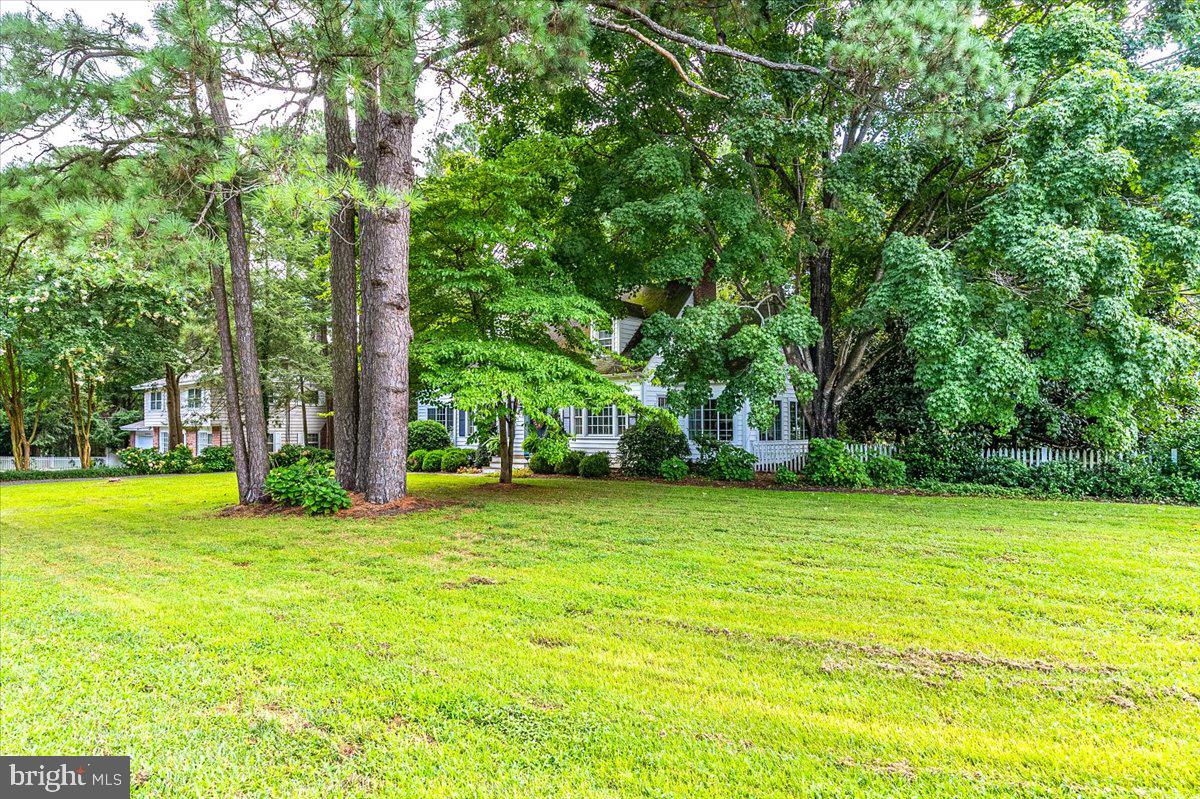 HUNTING PARK - Residential