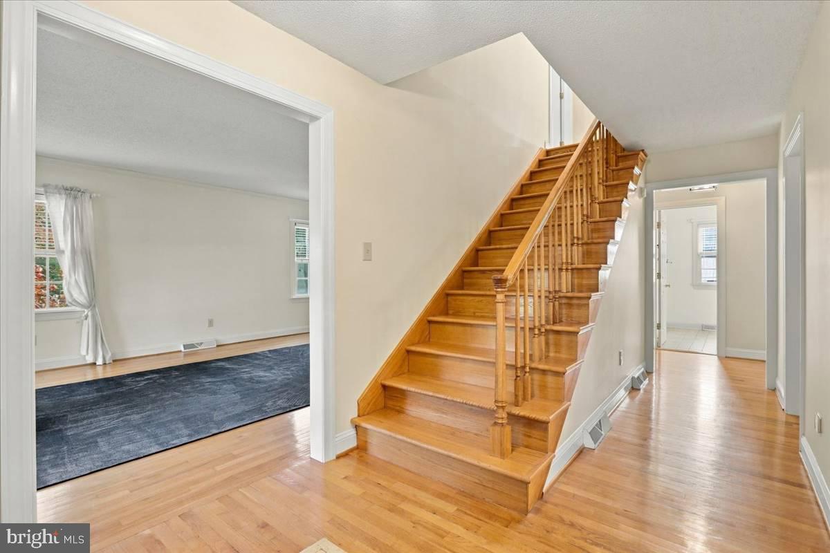 601 STREET OF DREAMS