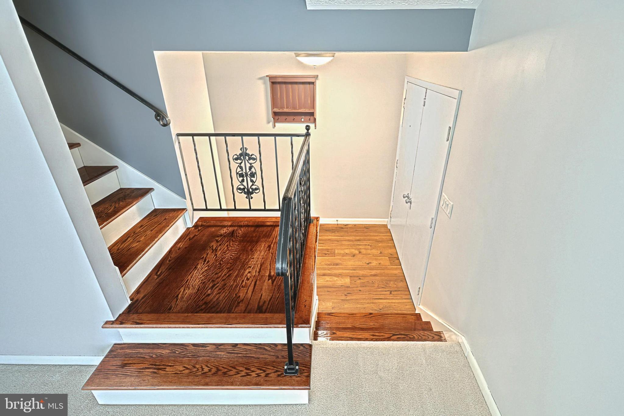 DUNEDIN - Residential