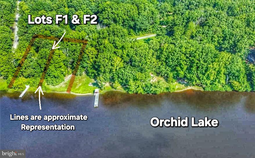 F1 ORCHID LAKE DR