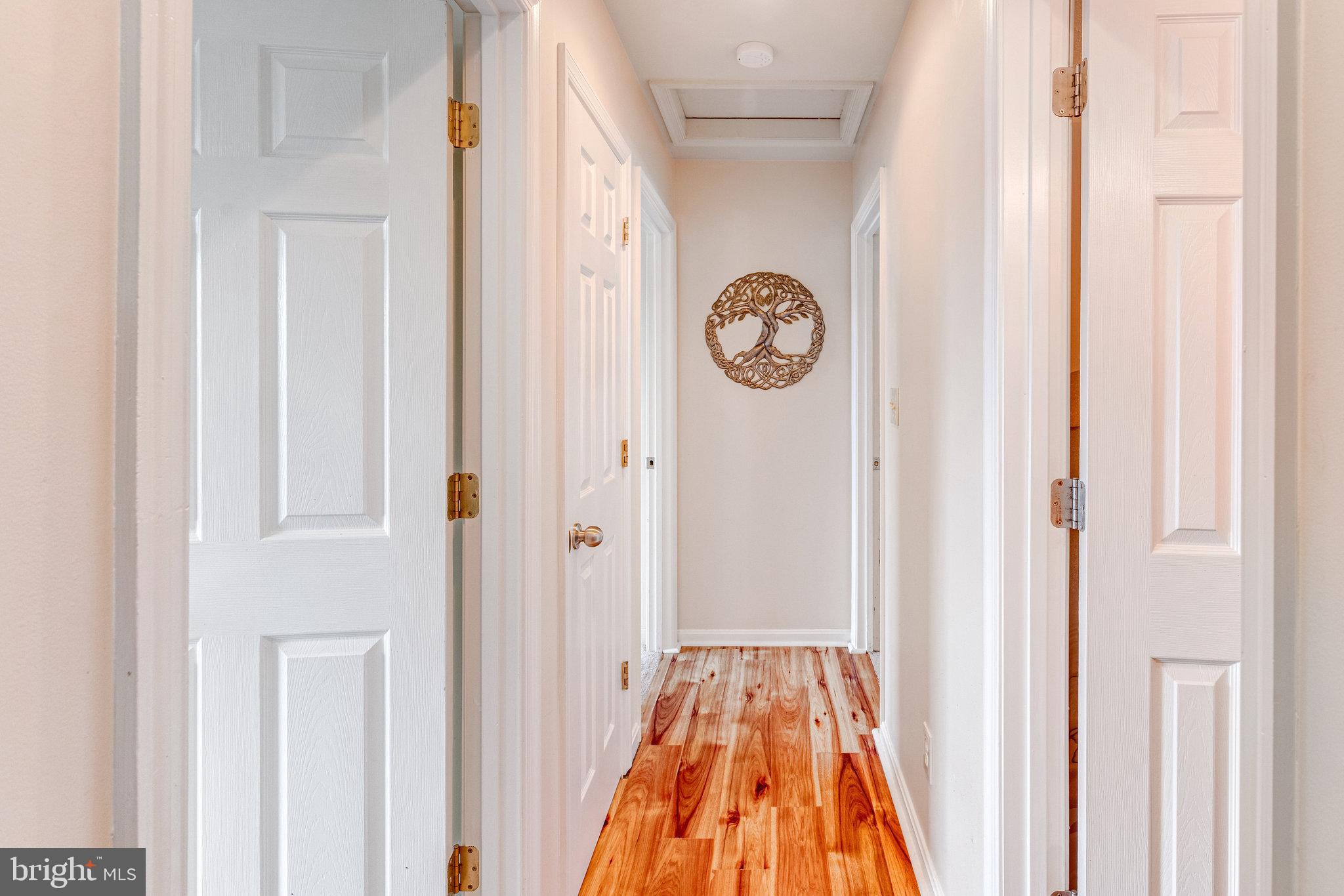 MAPLE GROVE - Residential