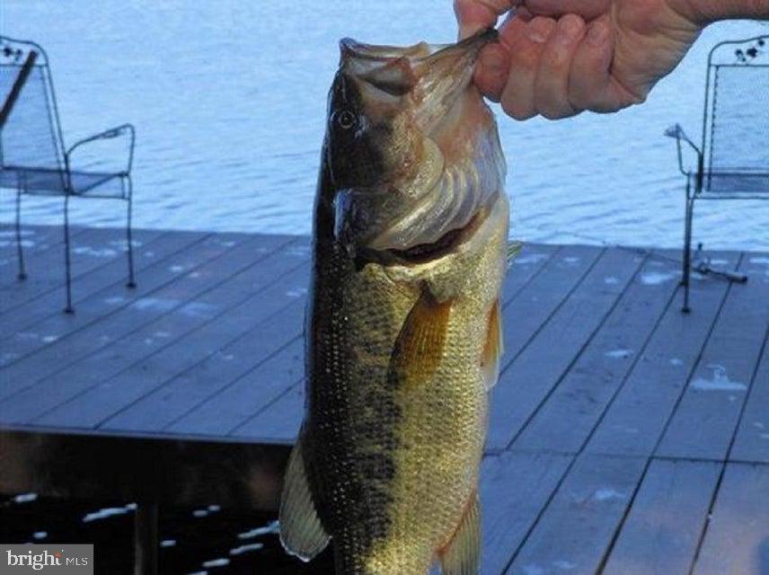 LAKE HARMONY ESTATES - Residential