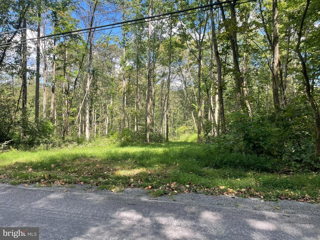 Photo of 0 Laurel Road, NARVON, PA 17555 (MLS # PALA2065746)
