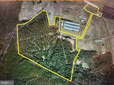 Vacant Land For Sale - Line Church Road<br/> DELMAR, DE 19940