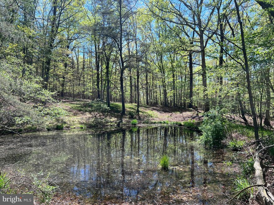 19.23 Acres!   Beautiful hardwood trees and a small pond.   This would make a perfect place to hunt, ride your UTV and build your forever home!   Subject to locating the legal access to the property.
