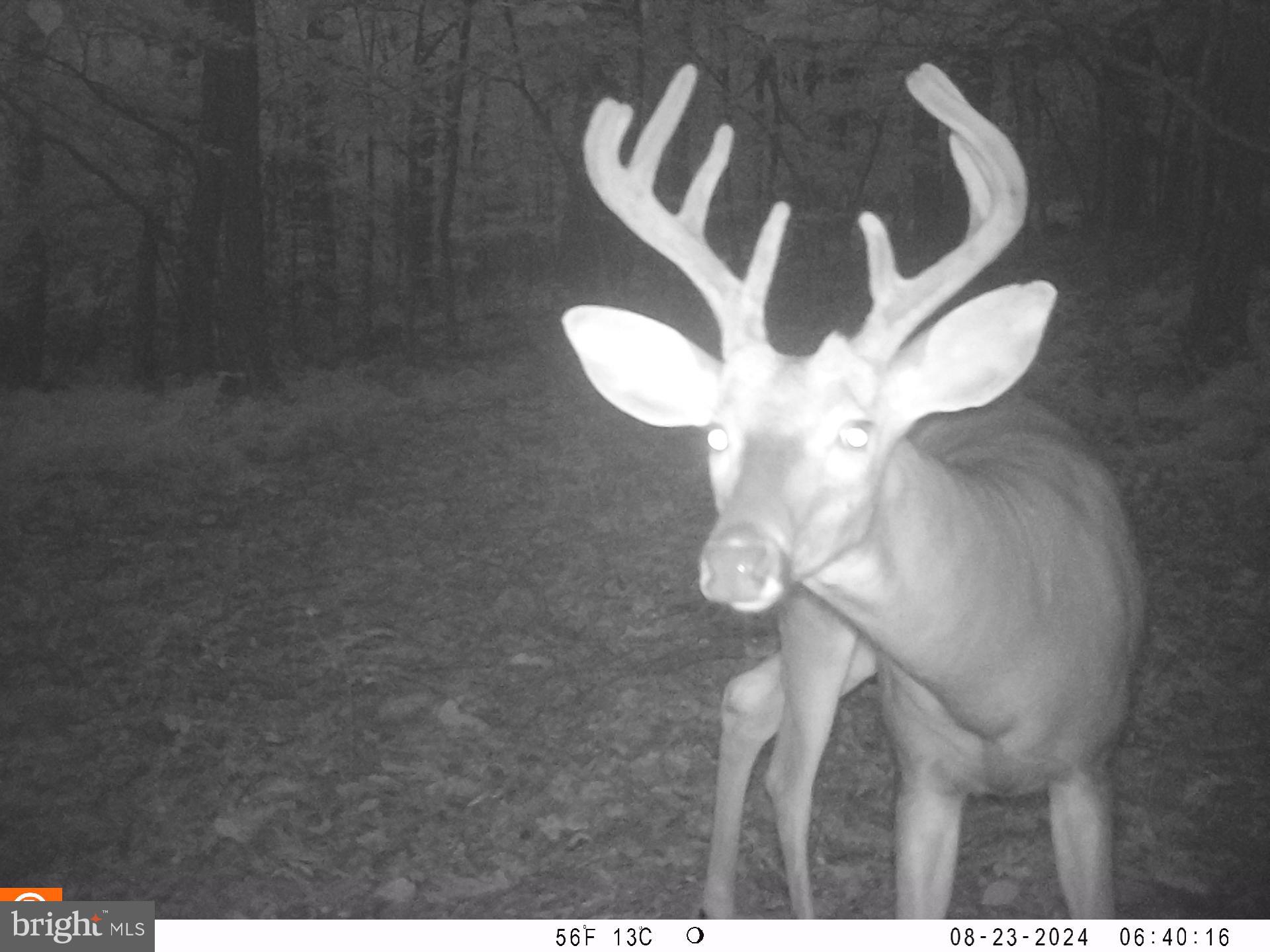 SOUTH TAMAQUA - Residential