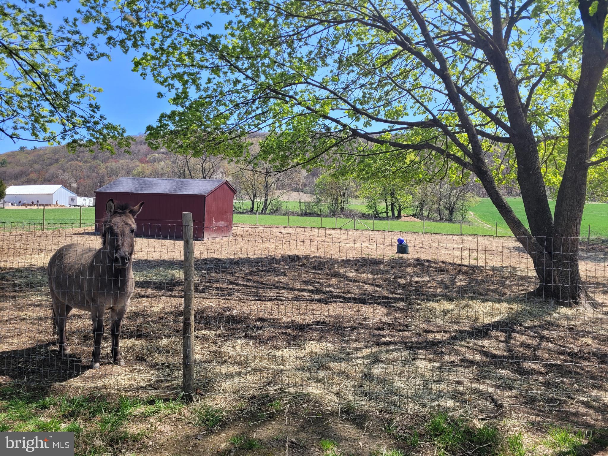 SOUTH TAMAQUA - Residential
