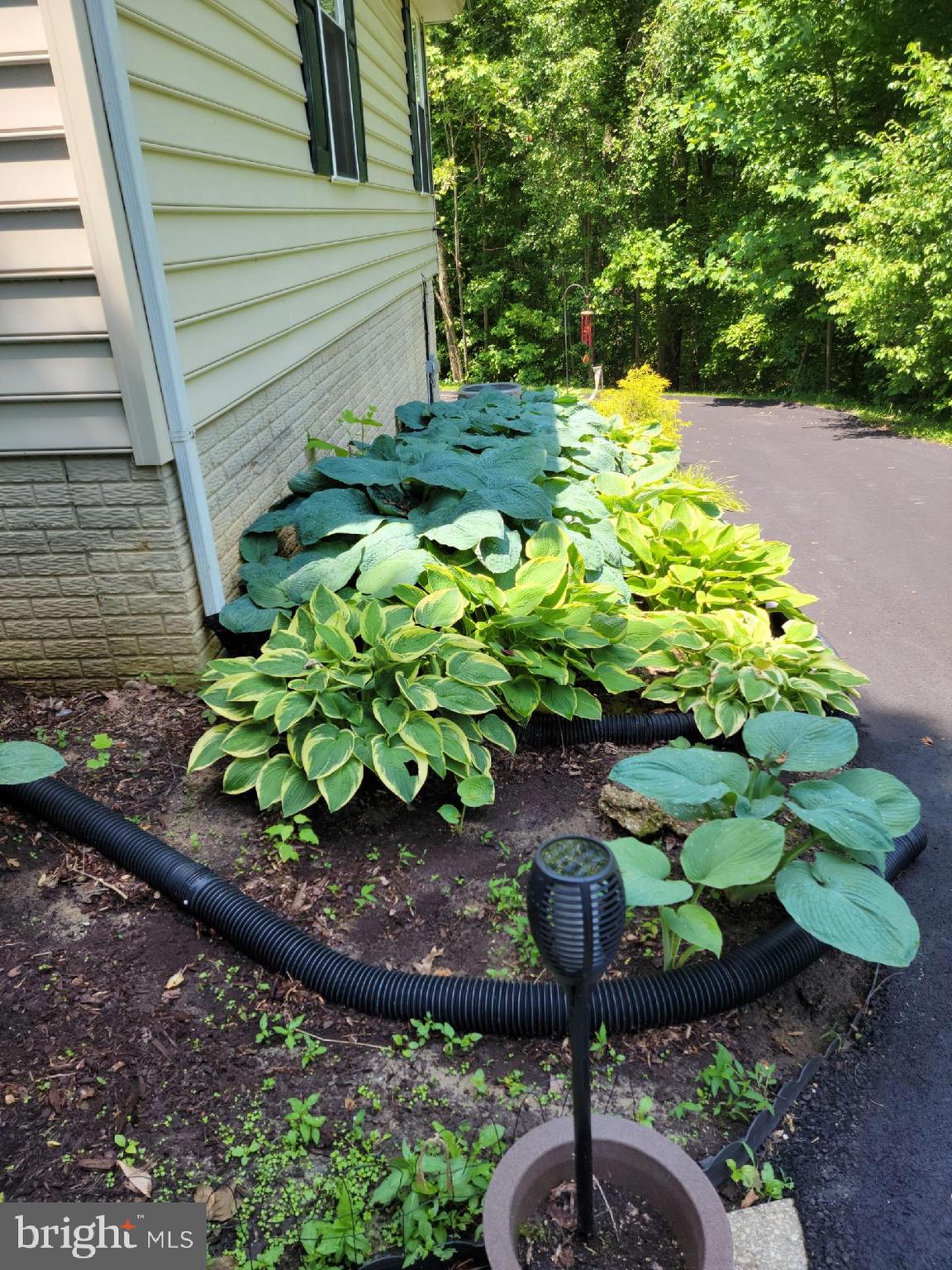 CARRIAGE HILLS - Residential