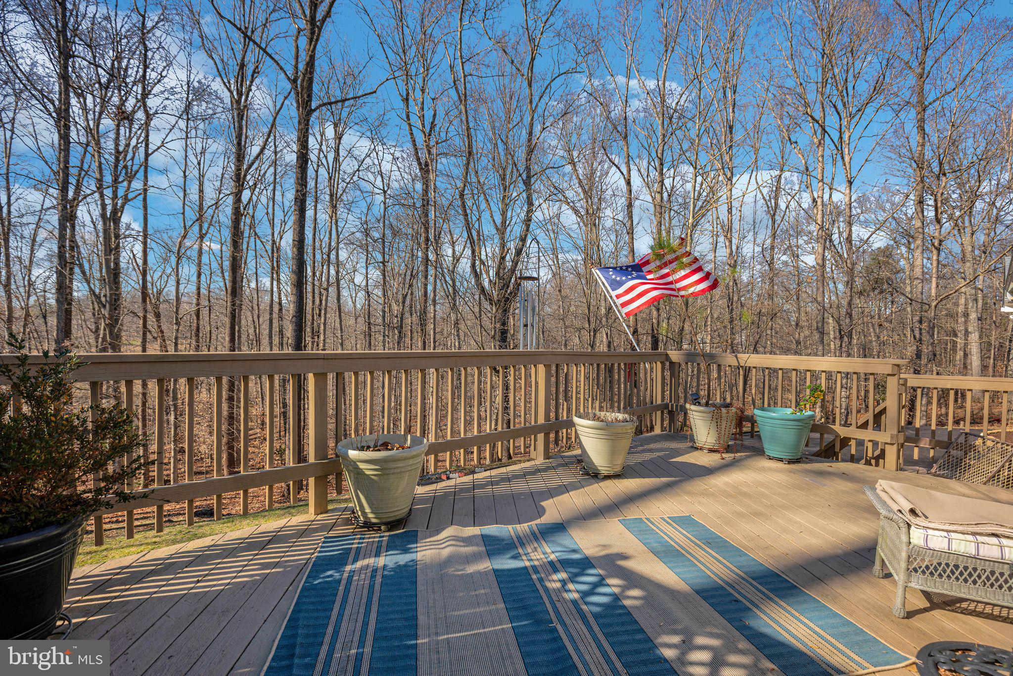 CARRIAGE HILLS - Residential