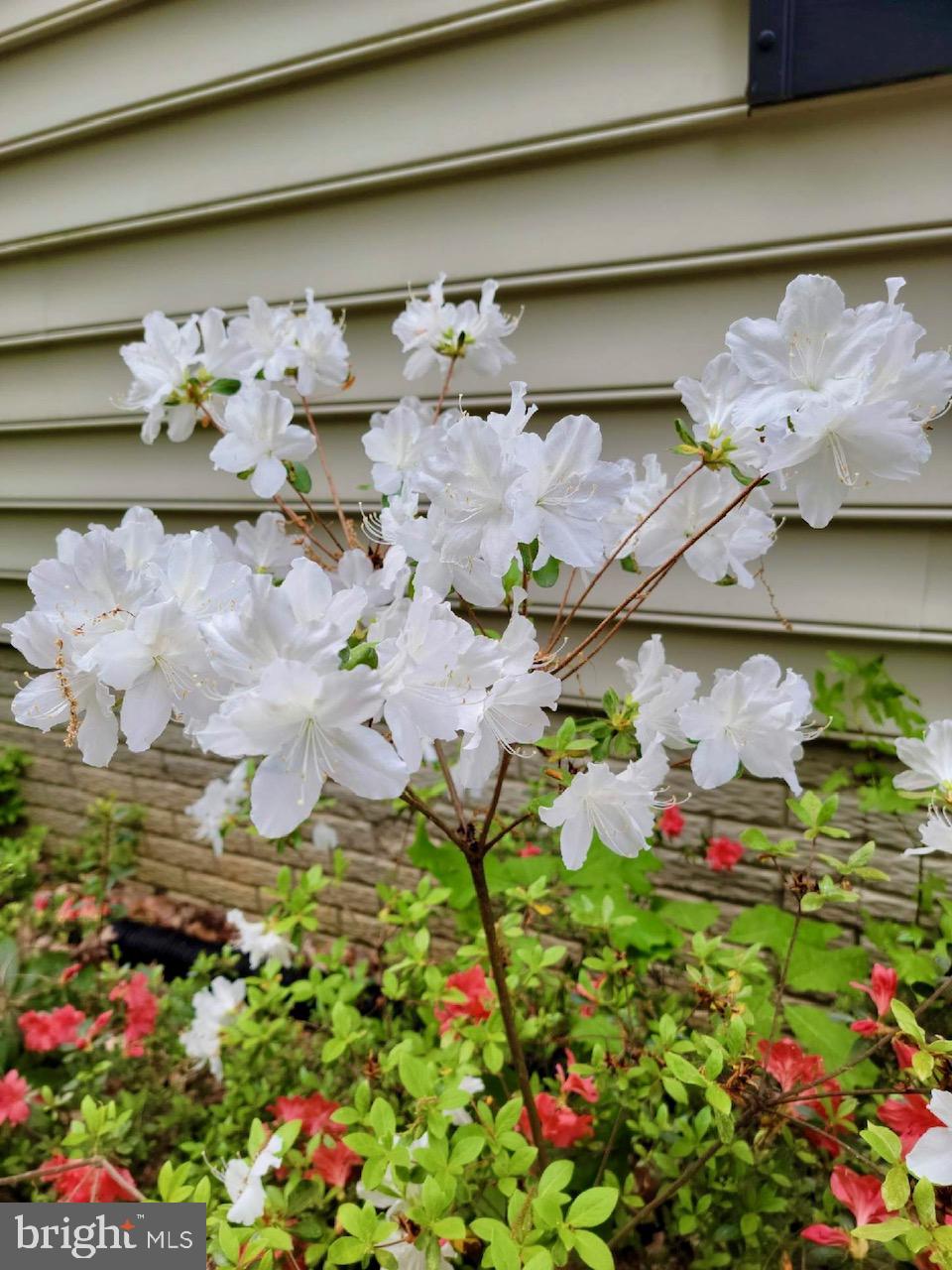 CARRIAGE HILLS - Residential