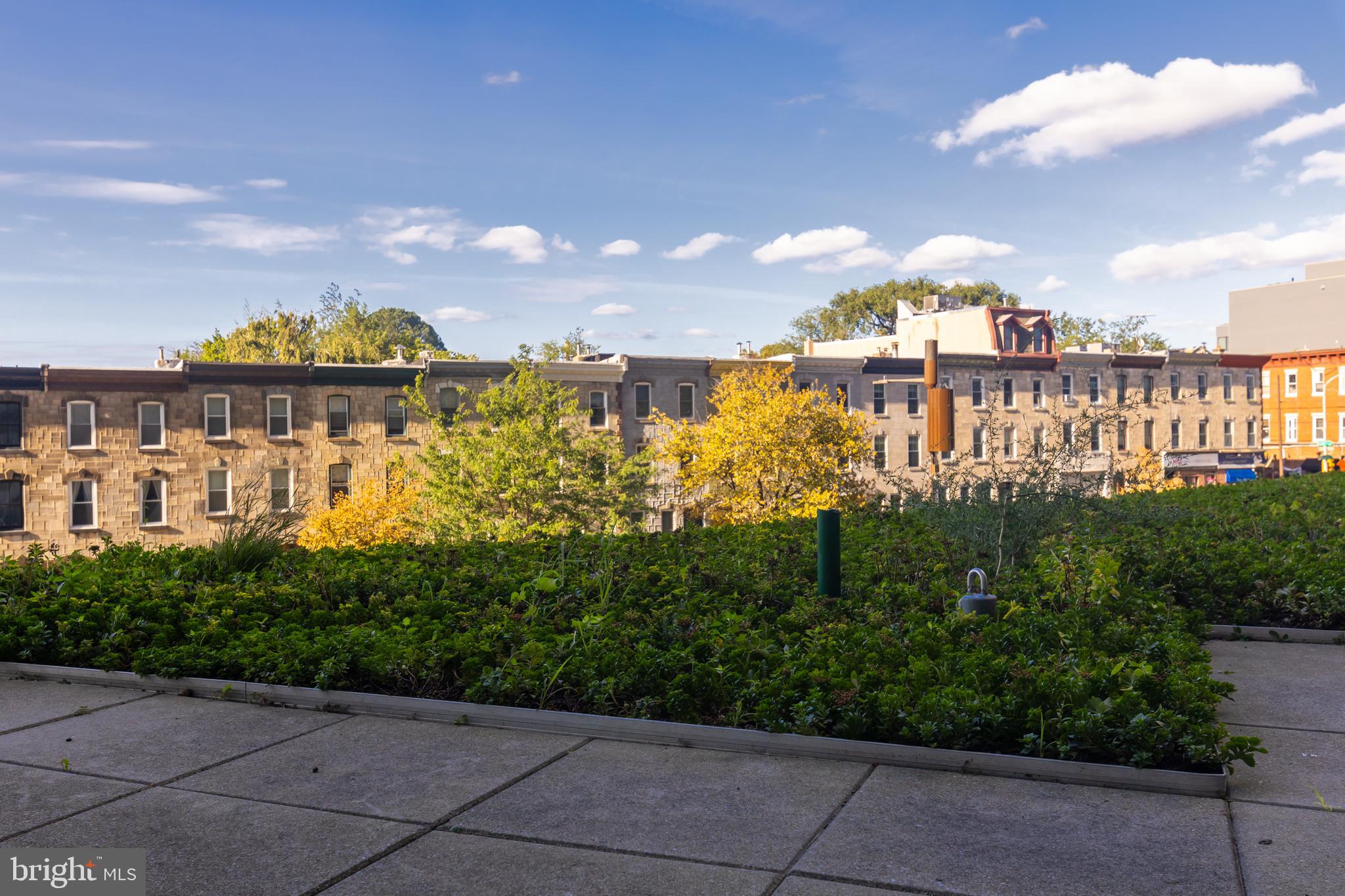 ART MUSEUM AREA - Residential