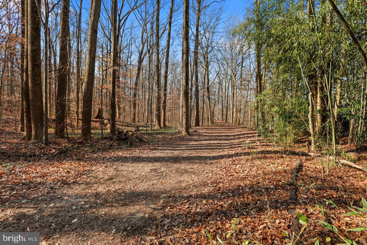 DANBURY FOREST - Residential