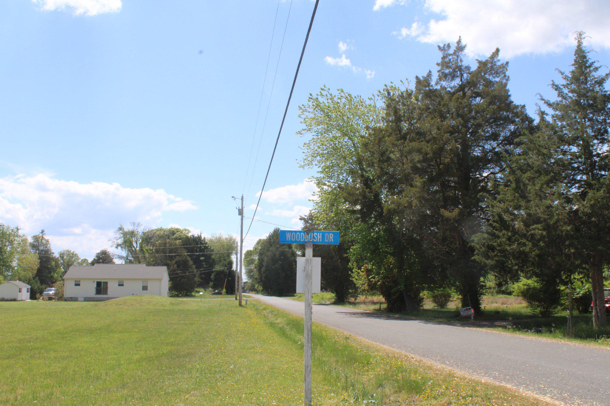 36742 WOODBUSH DRIVE