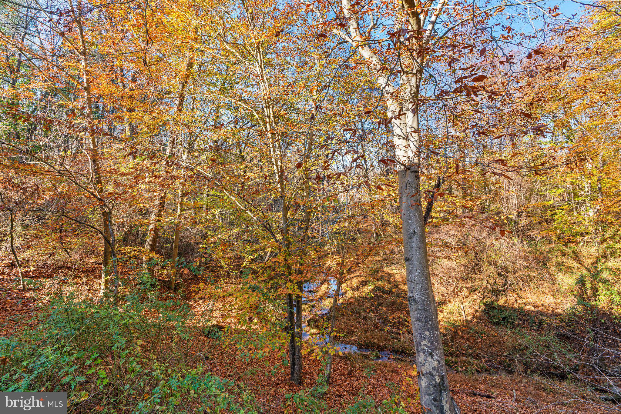 BREEZEWOOD FARMS - Residential