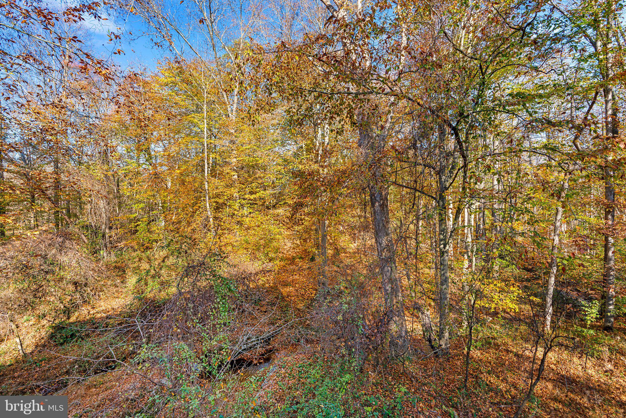 BREEZEWOOD FARMS - Residential