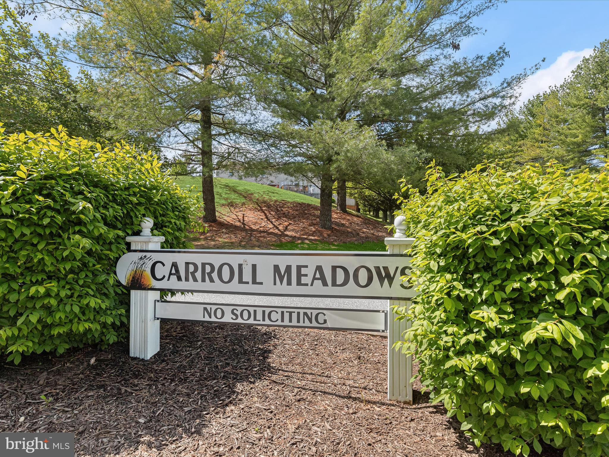 CARROLL MEADOWS - Residential