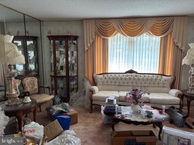 SALEM CENTER - Residential