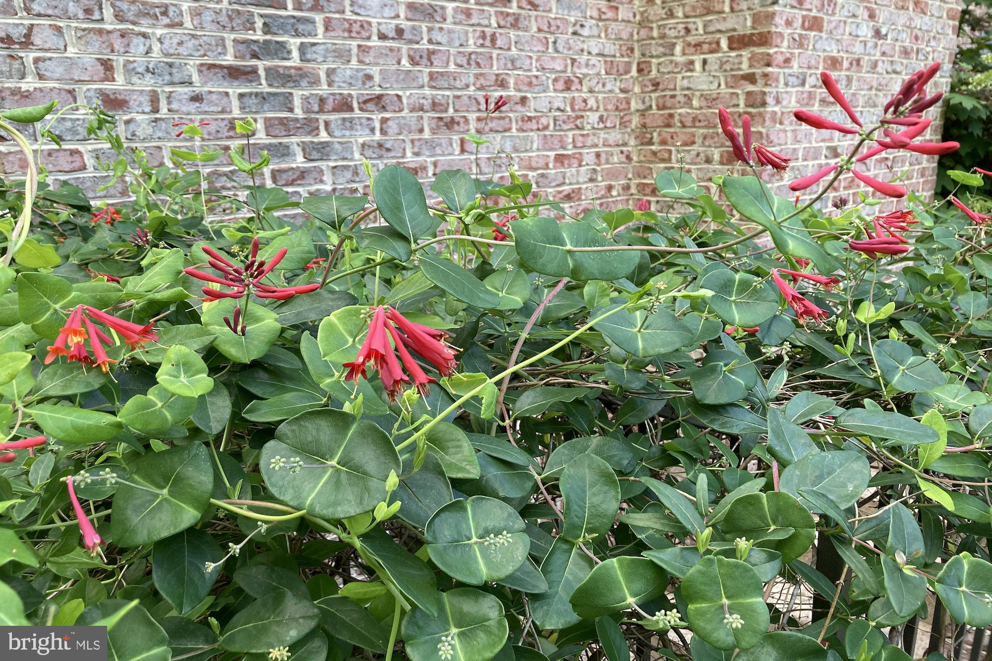 HUNTING HILLS - Residential